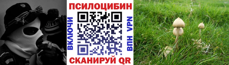 Псилоцибиновые грибы ЛСД  Иркутск 